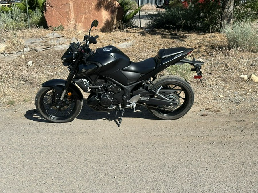 2024 Yamaha MT03RB
