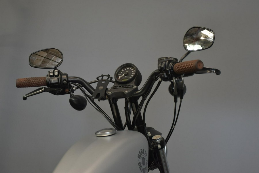 2020 Harley-Davidson Iron 883 Barracuda Silver Denim