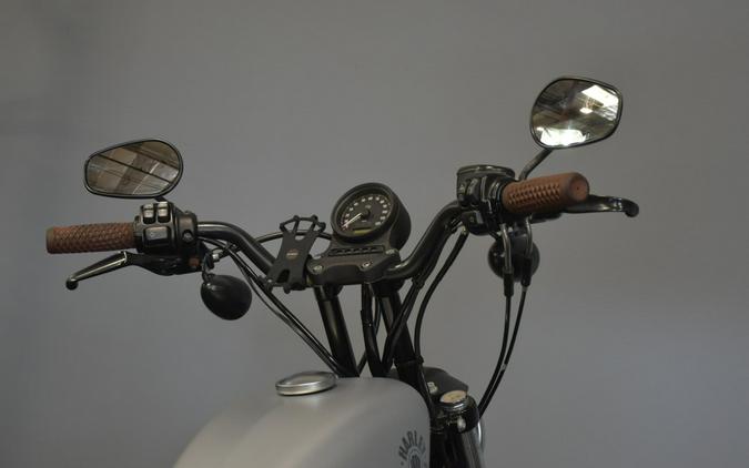 2020 Harley-Davidson Iron 883 Barracuda Silver Denim