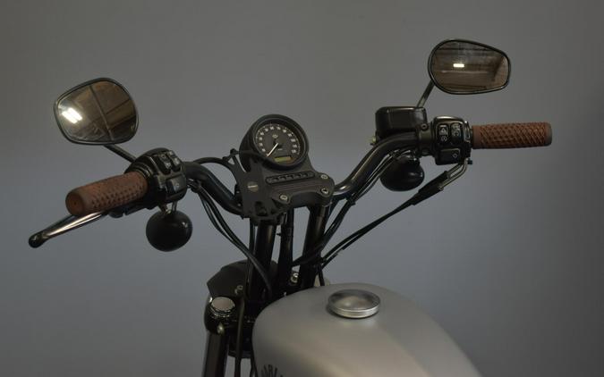 2020 Harley-Davidson Iron 883 Barracuda Silver Denim