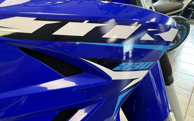2026 Yamaha TT-R 230