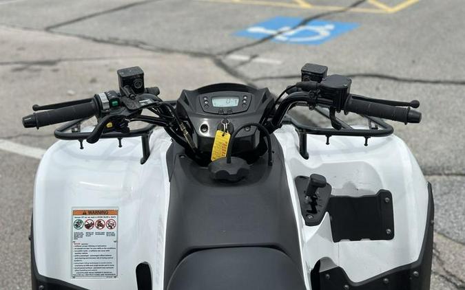 2023 Kawasaki Brute Force® 300