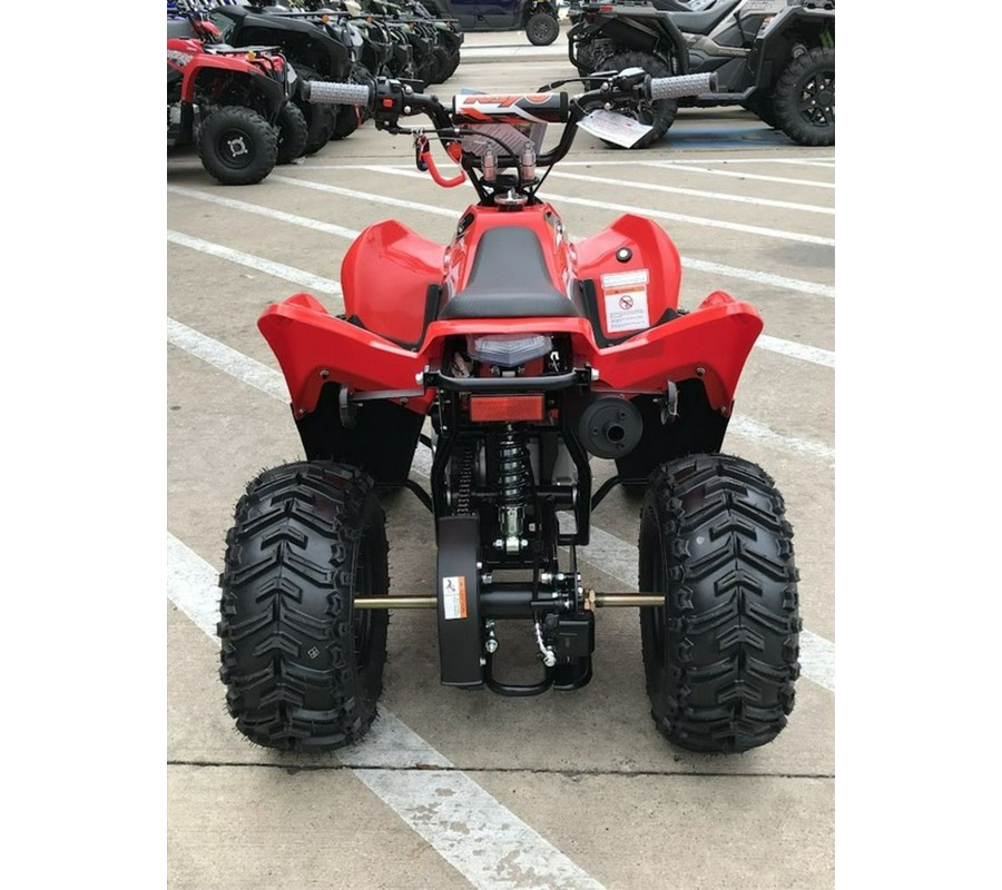 2026 Kayo Fox / Storm 70