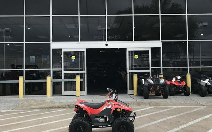 2026 Kayo Fox / Storm 70