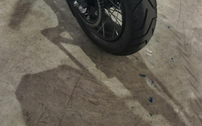 2024 Triumph TIGER 900 RALLY