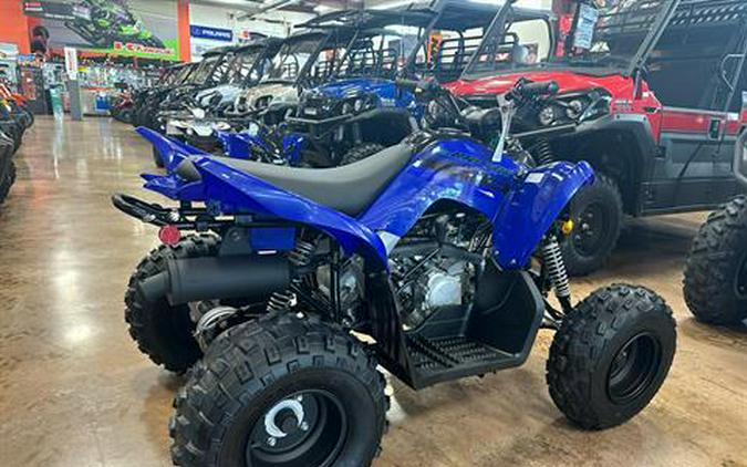 2025 Yamaha Raptor 110