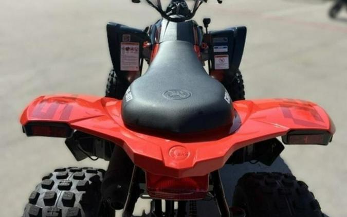 2027 Can-Am DS 250