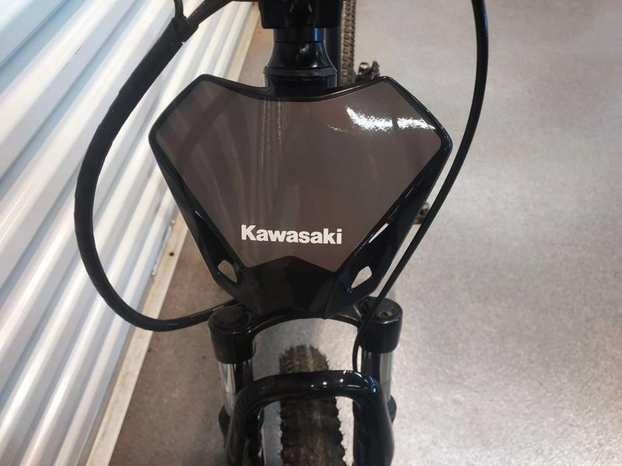 2025 Kawasaki Elektrode® 20