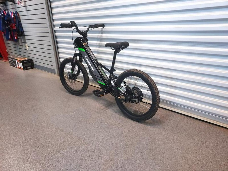 2025 Kawasaki Elektrode® 20