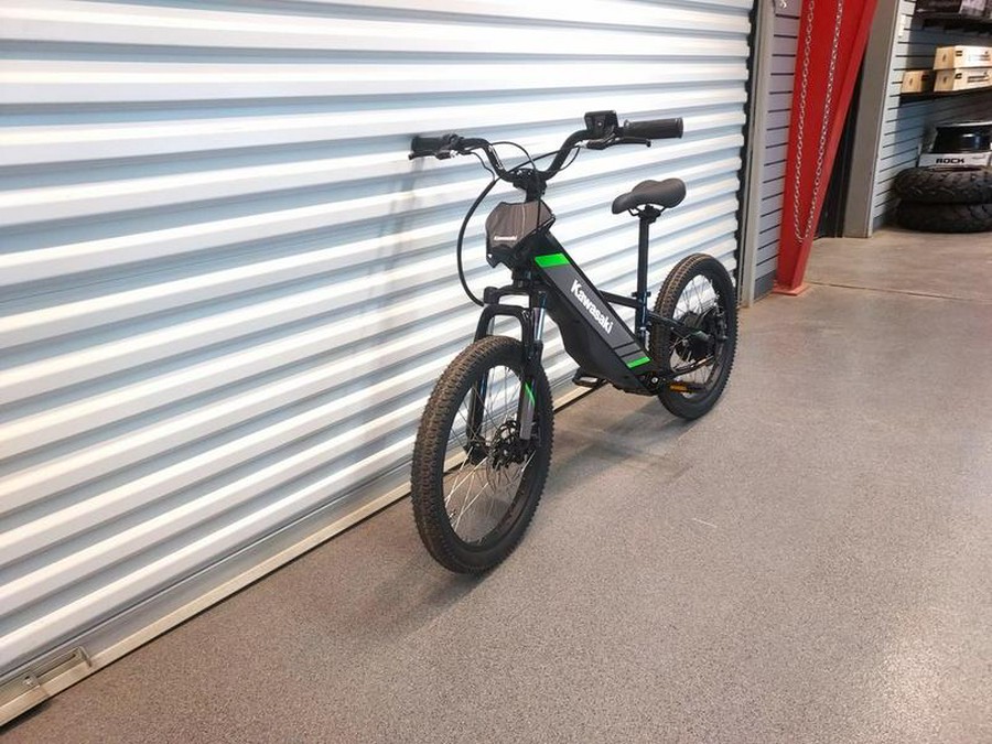 2025 Kawasaki Elektrode® 20