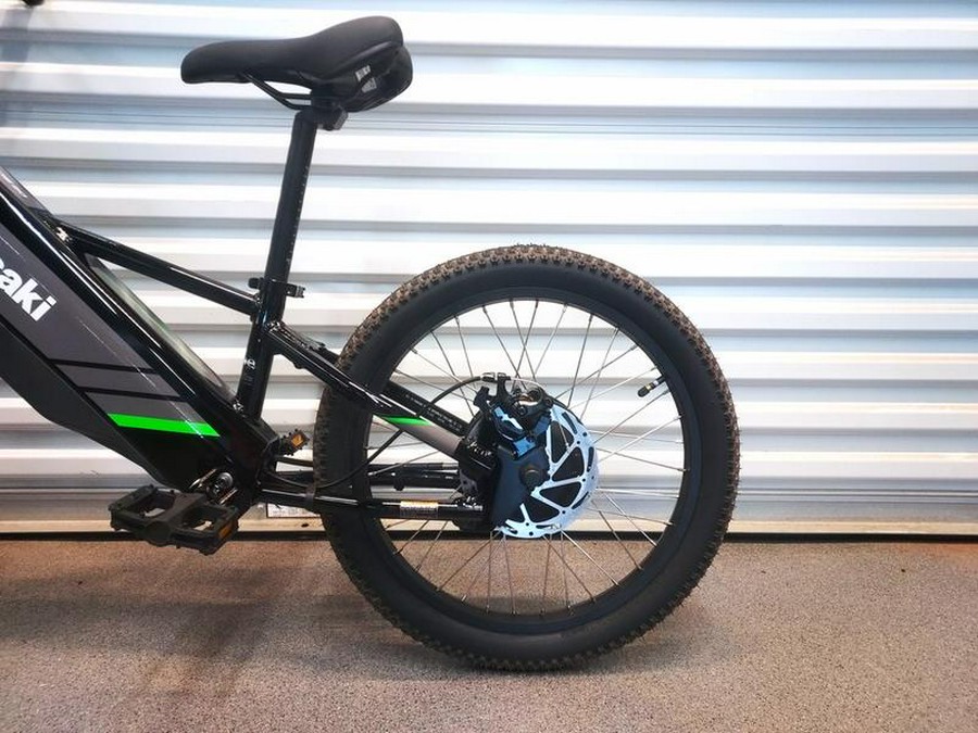 2025 Kawasaki Elektrode® 20