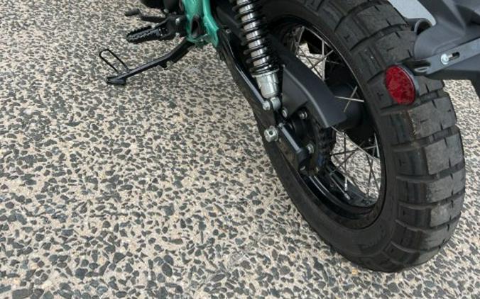 2025 ROYAL ENFIELD RY650 BEAR