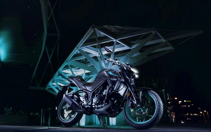 2024 Yamaha MT-03