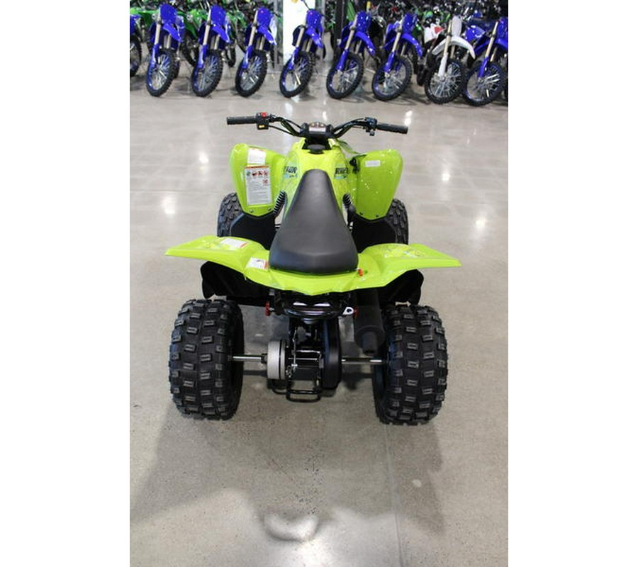 2026 Yamaha Raptor 110