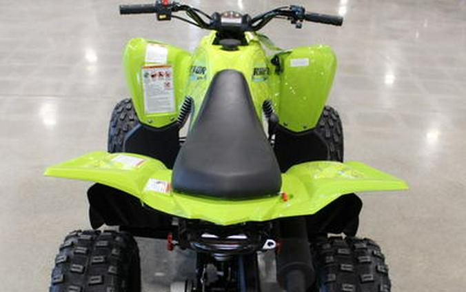 2026 Yamaha Raptor 110