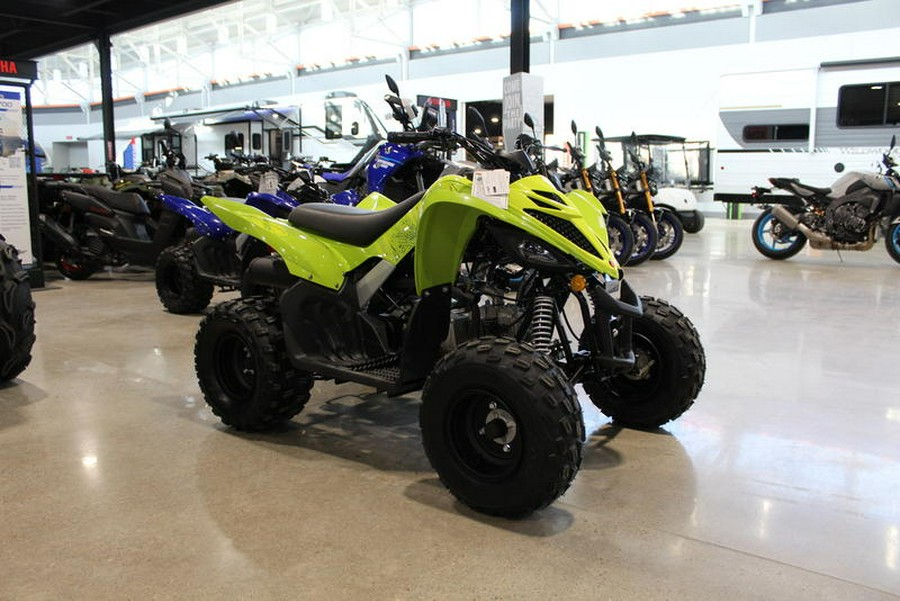 2026 Yamaha Raptor 110