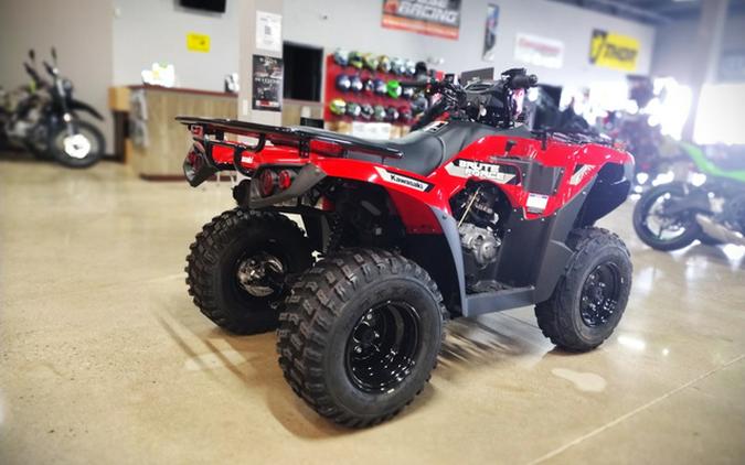 2026 Kawasaki Brute Force 300