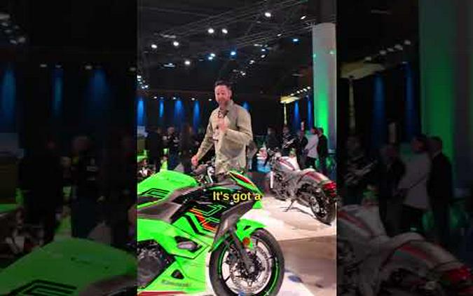 2024 Kawasaki Ninja 500 First Look