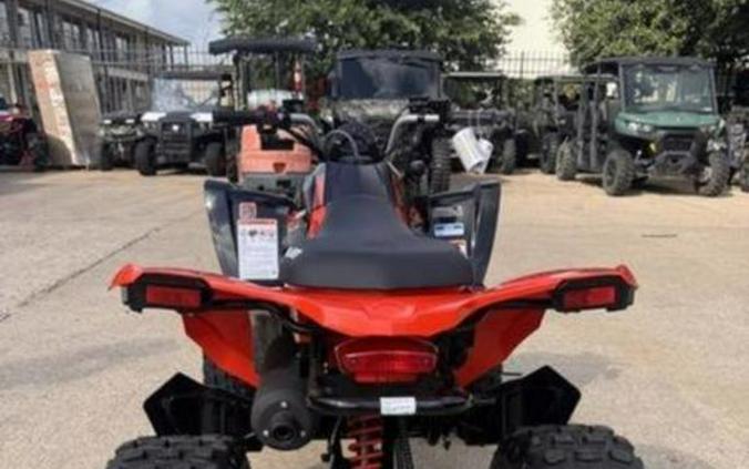 2026 Can-Am® DS 250