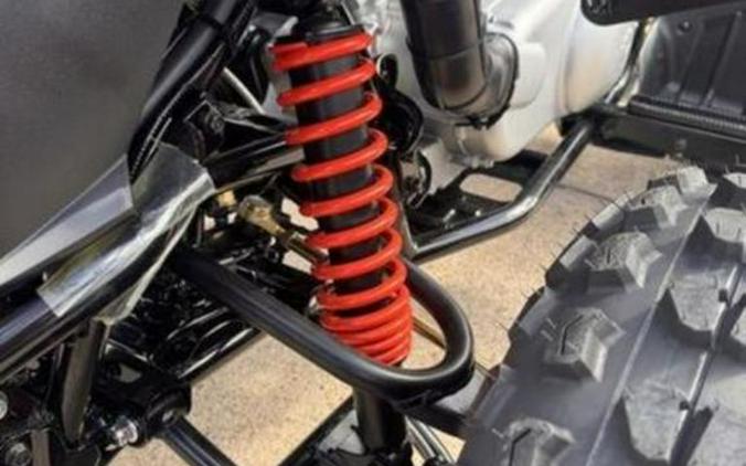 2026 Can-Am® DS 250