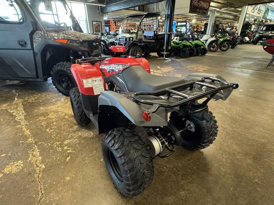 2025 Yamaha Grizzly 110