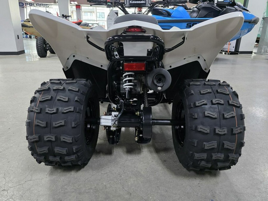 2026 Kawasaki KFX 90