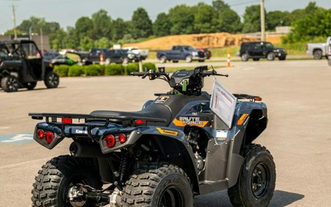 2026 Kawasaki Brute Force 300