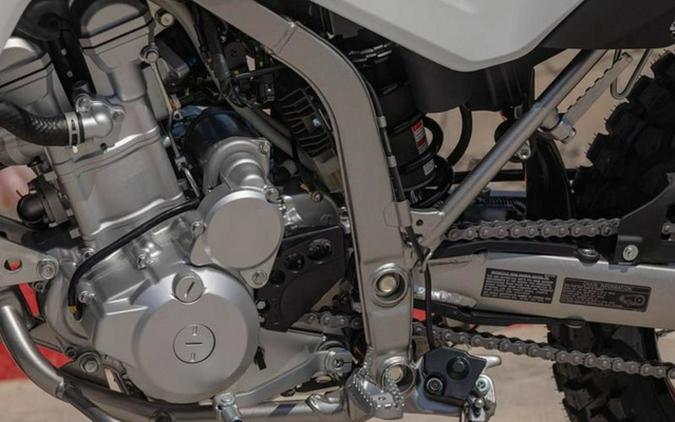 2026 Kawasaki KLX 300