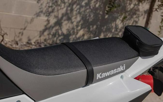 2026 Kawasaki KLX 300
