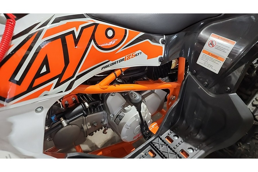 2025 Kayo PREDATOR 125 EFI