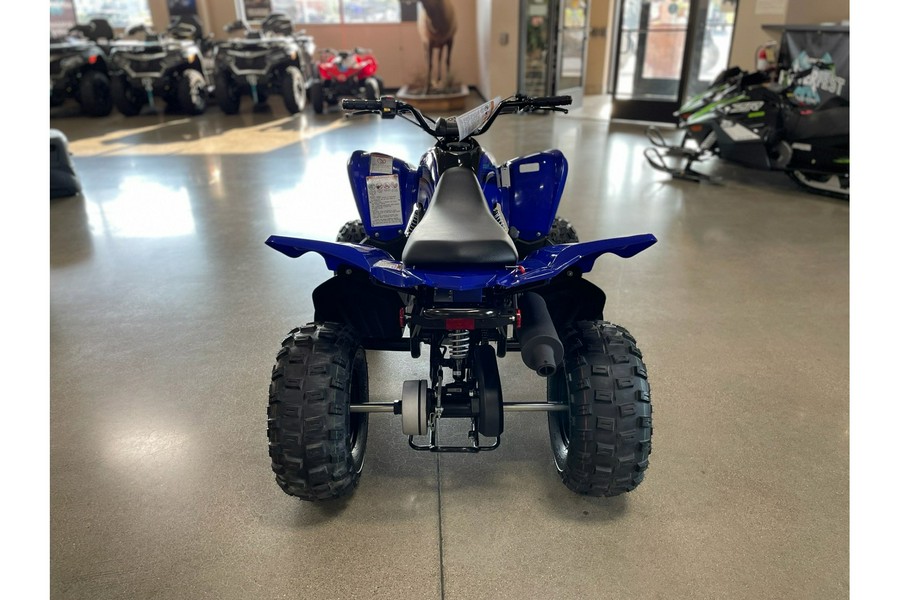 2025 Yamaha Raptor 110