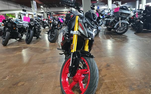 2024 BMW G310 R