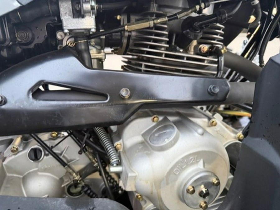 2023 Polaris Phoenix 200