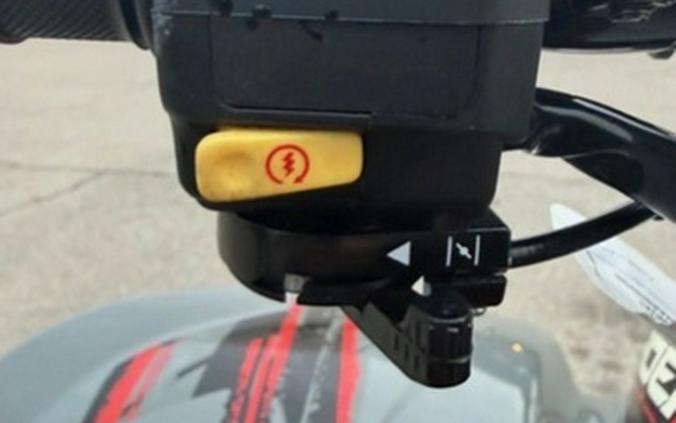 2023 Polaris Phoenix 200