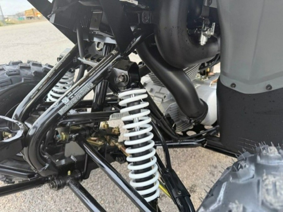 2023 Polaris Phoenix 200