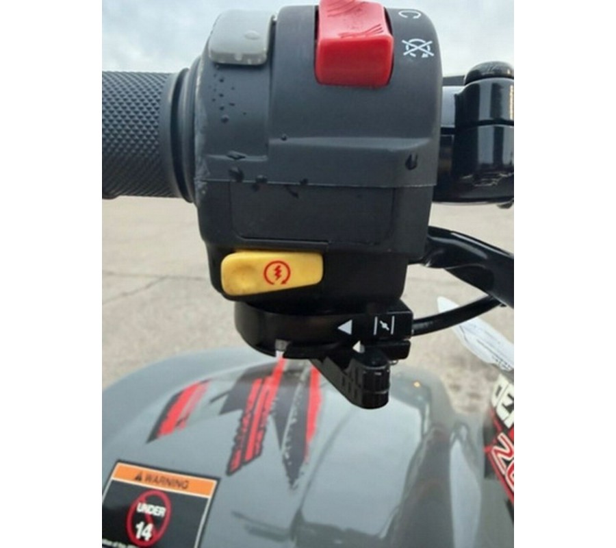 2023 Polaris Phoenix 200