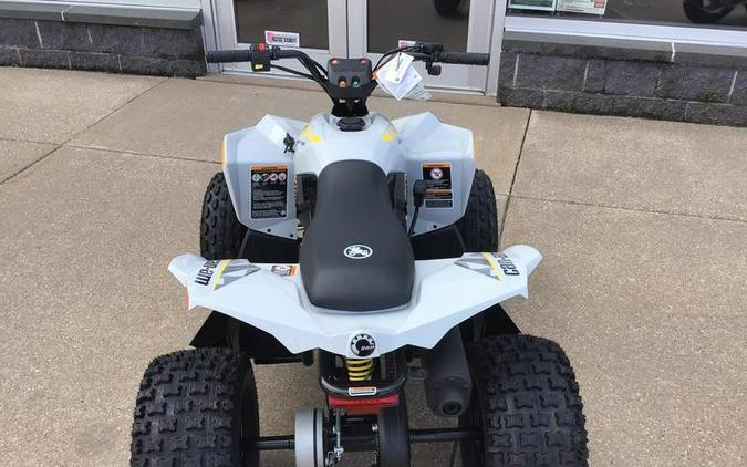 2024 Can-Am® Renegade 110 EFI