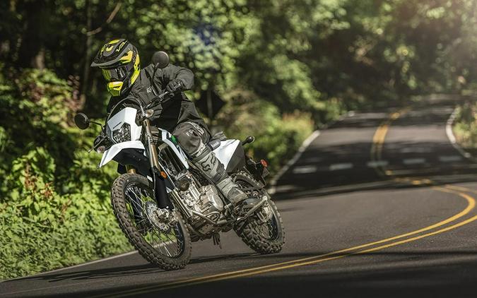 2026 Kawasaki KLX 300 Bright White - 111465