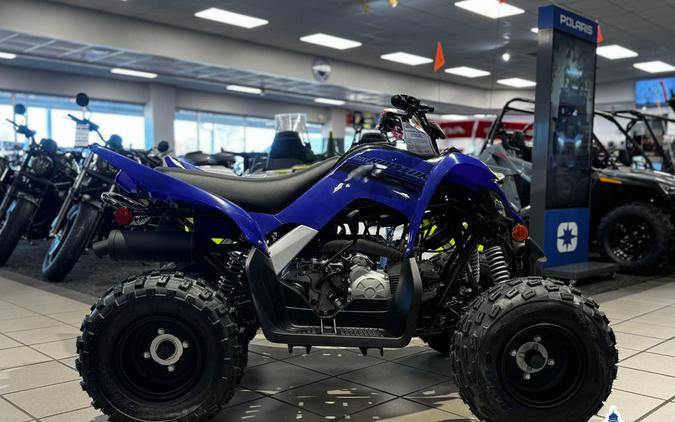 2024 Yamaha Raptor 110