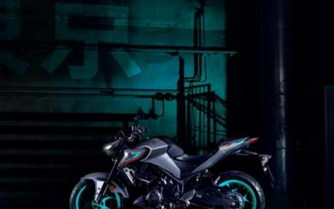 2024 Yamaha MT 03