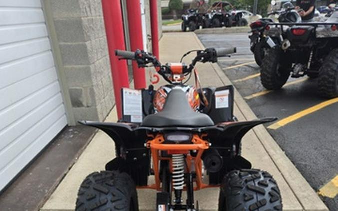 2025 Kayo 110 Predator