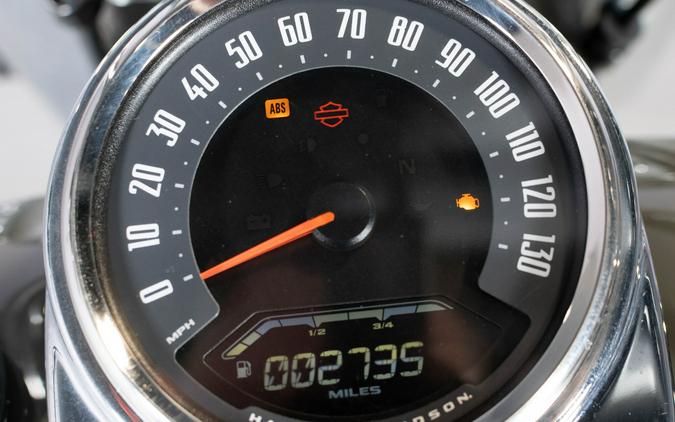 2021 Harley-Davidson Heritage Classic 107 FLHC