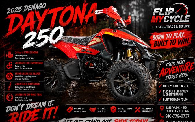 2025 DENAGO DAYTONA 250 FI - F115701