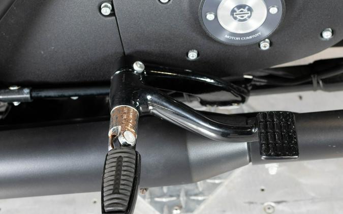 2022 Harley-Davidson Iron 883 XL 883N