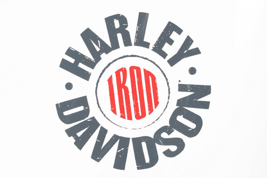 2022 Harley-Davidson Iron 883 XL 883N