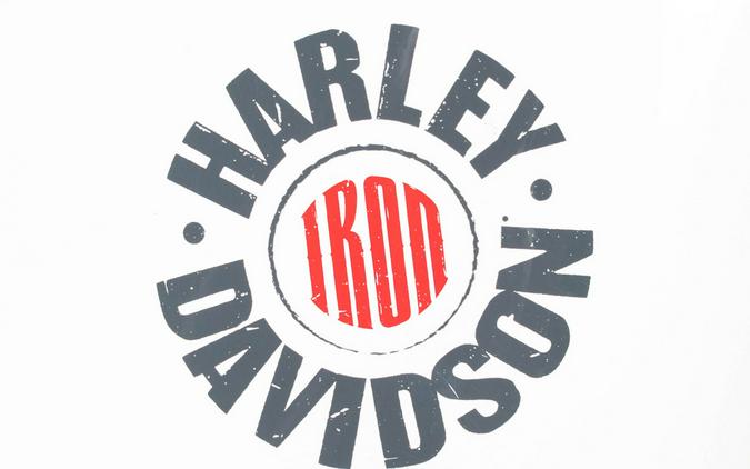 2022 Harley-Davidson Iron 883 XL 883N