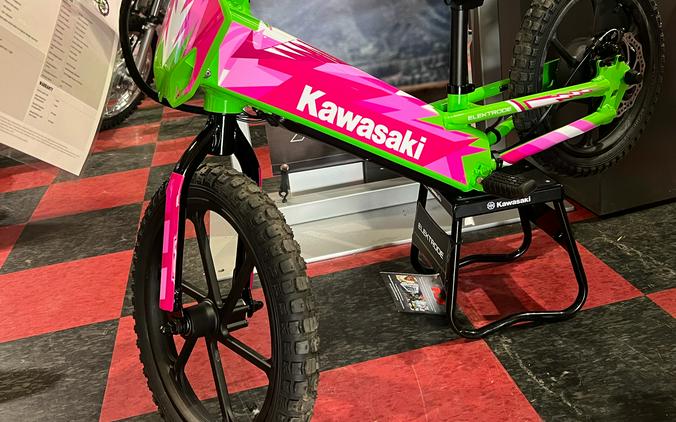 2024 Kawasaki Elektrode