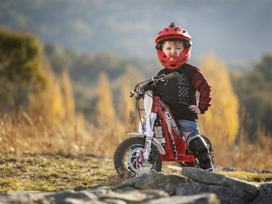 2023 Oset Electric Bikes 12.5R