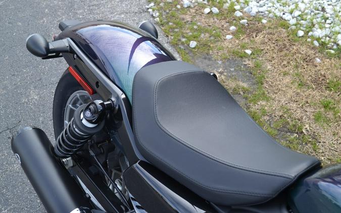 2025 Harley-Davidson® Nightster® Snake Venom - RH975