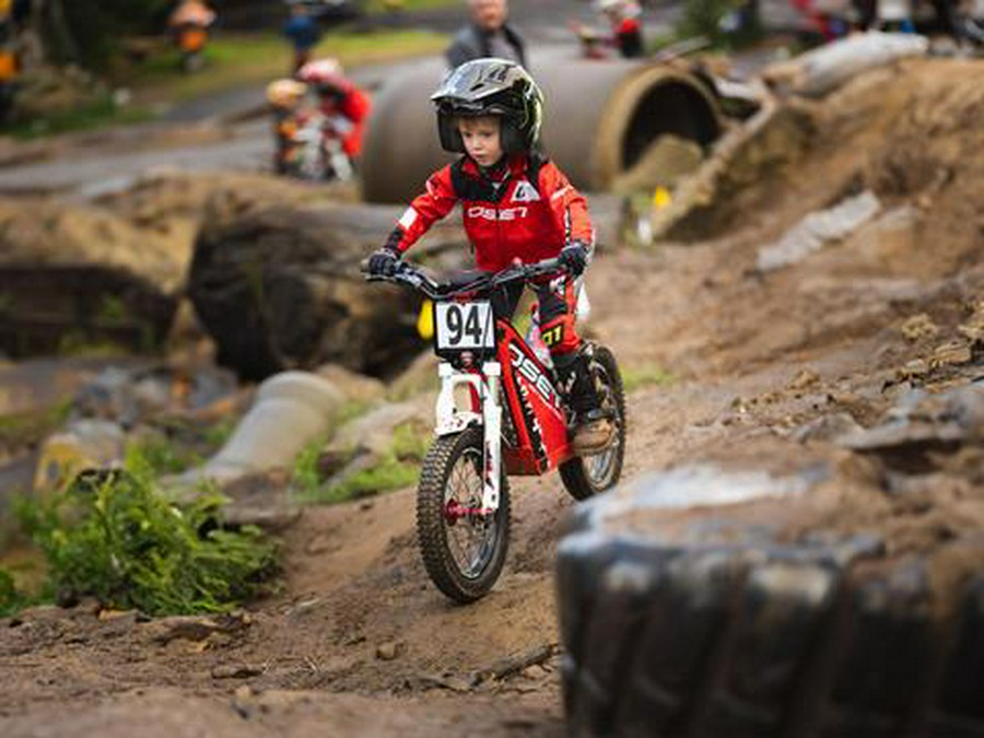 2023 Oset Electric Bikes 16.0R